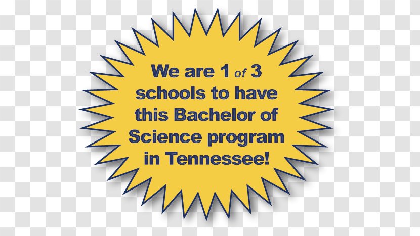 Bachelor's Degree Logo Bachelor Of Science Brand School Transparent PNG