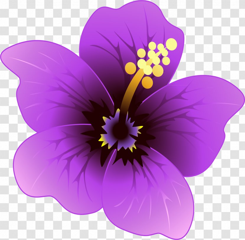 Purple Violet Flower Lilac - Pansy Transparent PNG