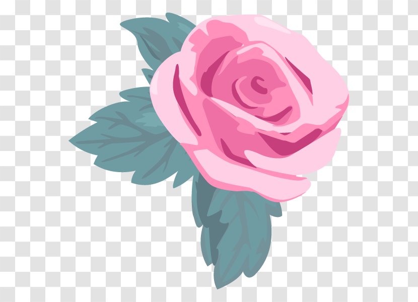Garden Roses Illustration Cabbage Rose Flower Clip Art - Pink - Cut Flowers Transparent PNG