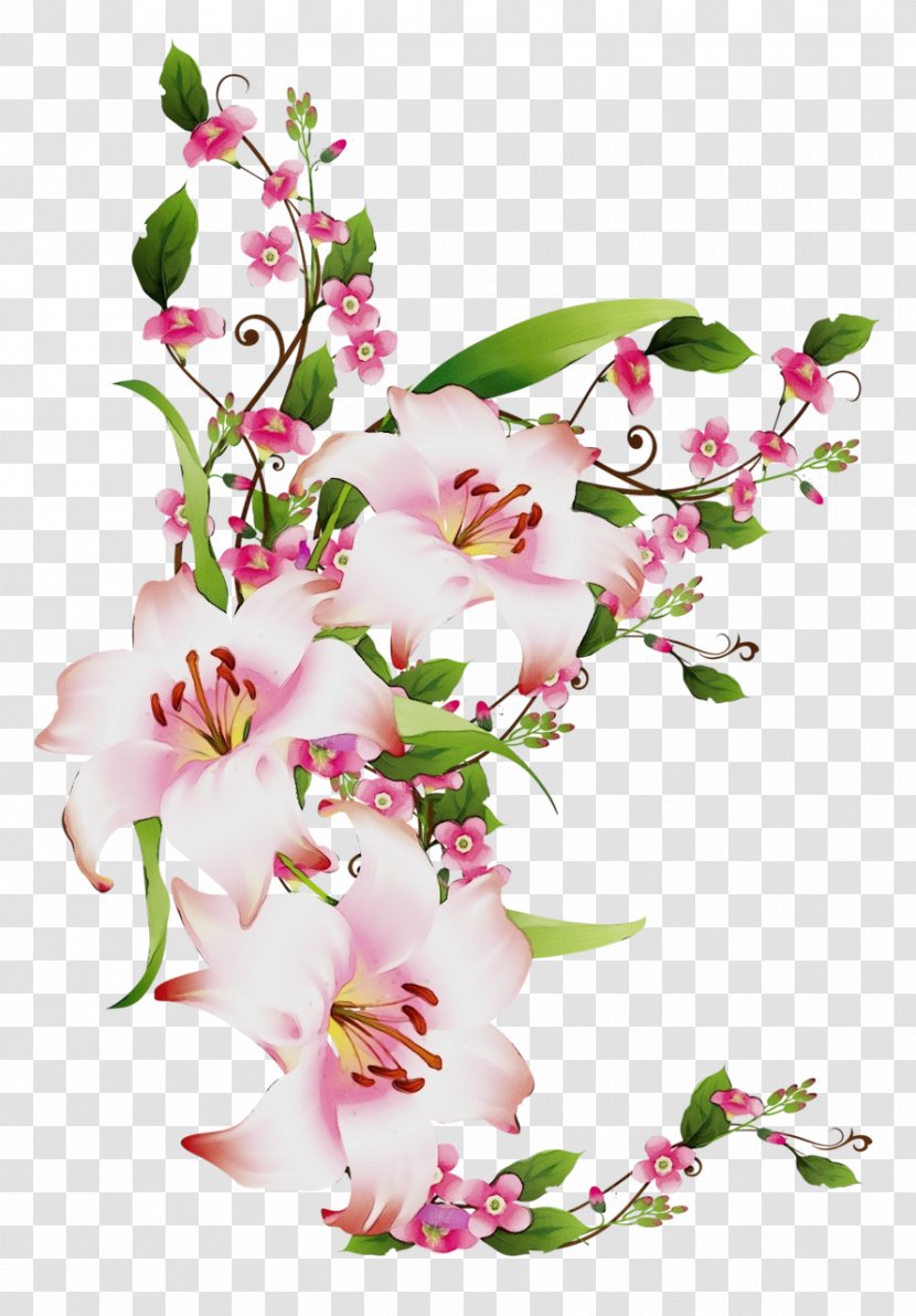 Flower Flowering Plant Cut Flowers Pink - Paint - Blossom Bouquet Transparent PNG