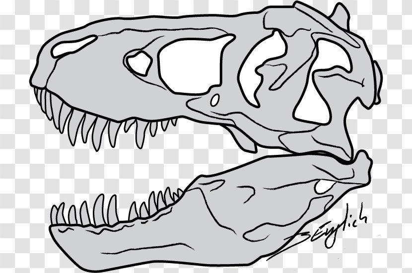 Tyrannosaurus Drawing Skull Dinosaur Sketch - Heart Transparent PNG