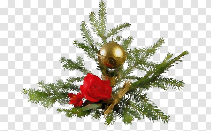 Christmas Tree Transparent PNG