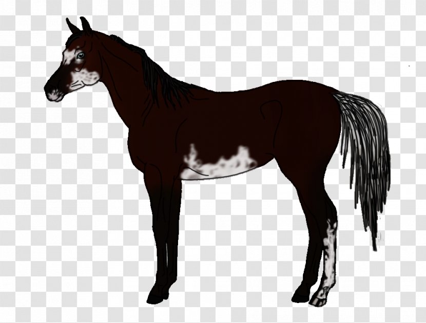 American Quarter Horse Arabian Friesian Thoroughbred Stallion - Bridle - Angry Bull Transparent PNG