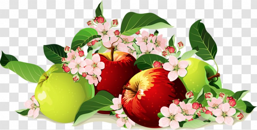 Apple Still Life - Auglis - Green And Red Apples Transparent PNG