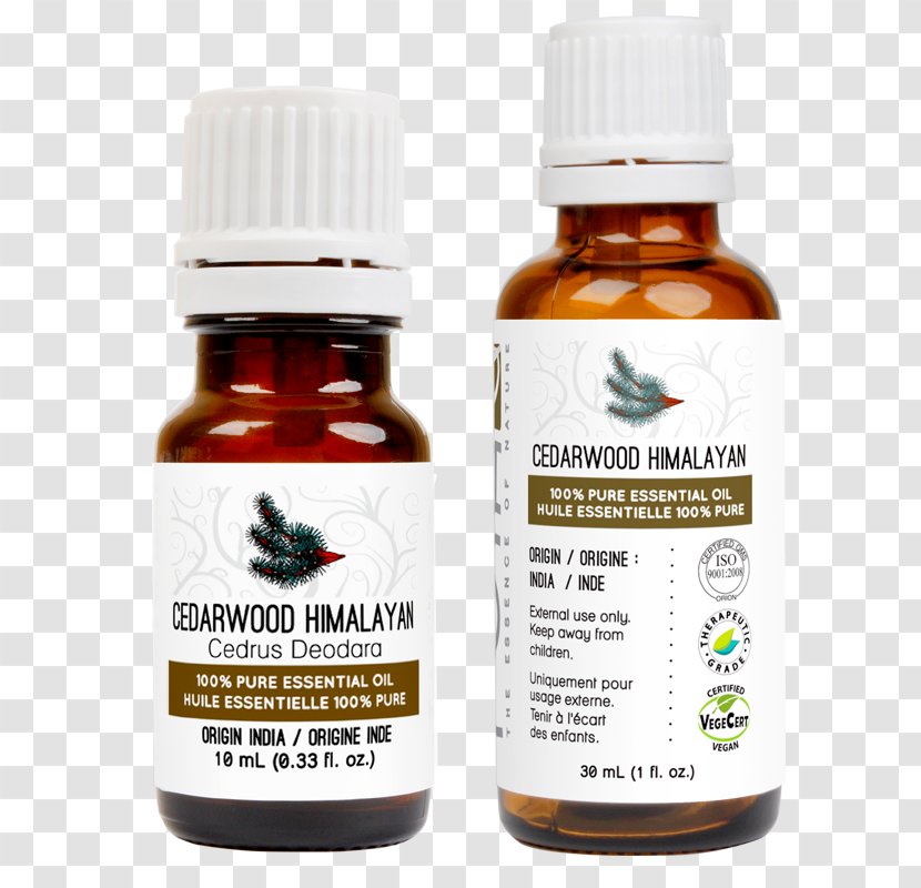 Essential Oil Cedar Aroma Compound Aromatherapy Lavender - Patchouli - Wood Transparent PNG