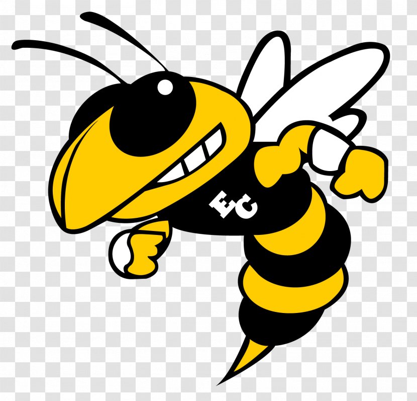 Hinsdale South High School Charlotte Hornets Sport Football Basketball - Black And White - Logo Transparent PNG