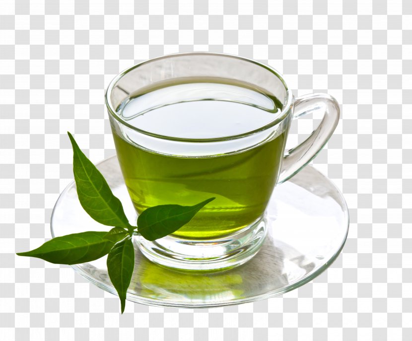 Green Tea Coffee Herbal Drink - Cup Of Transparent PNG