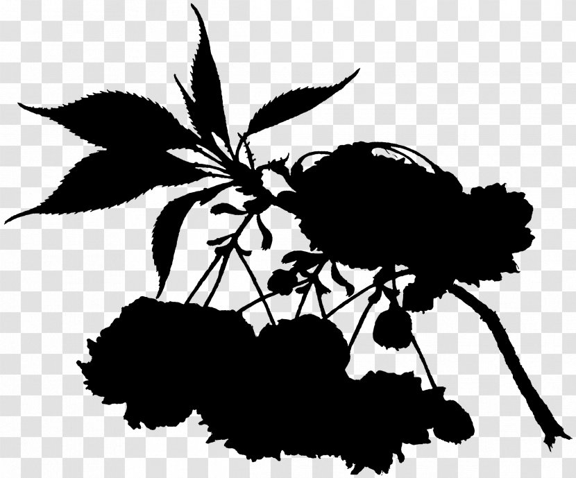 Black And White Flower - Plant Stem - Stencil Twig Transparent PNG