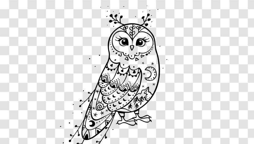 Drawing Little Owl - Cartoon Transparent PNG