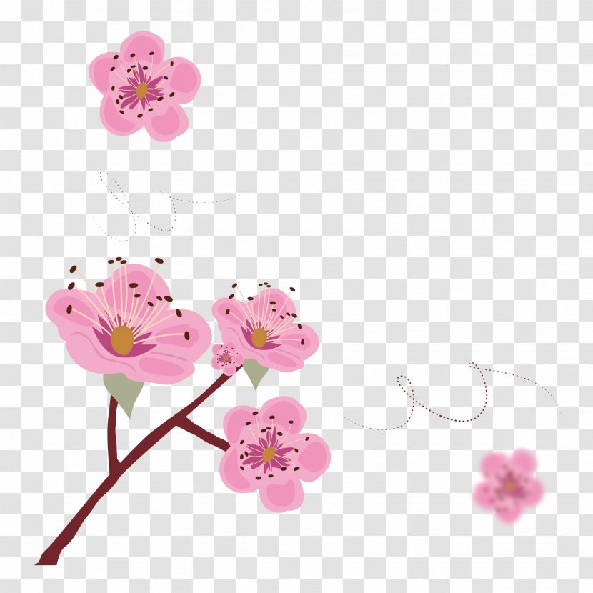 Cherry Blossom Poster Illustration - Drawing - Vector Pink Japanese Blossoms Transparent PNG