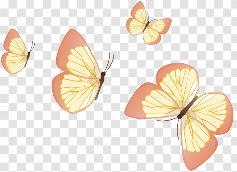 Butterfly Insect Wing Clip Art Transparent PNG