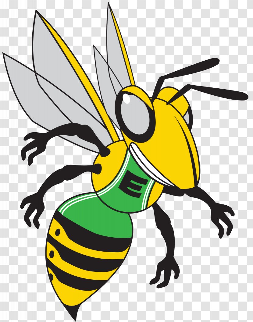 Honey Bee Hornet Organization Clip Art - Color Transparent PNG