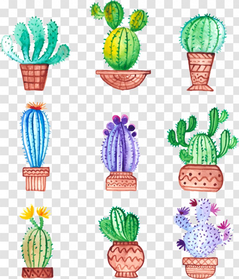 Cactaceae Watercolor Painting Drawing - Hand-painted Potted Cactus Transparent PNG