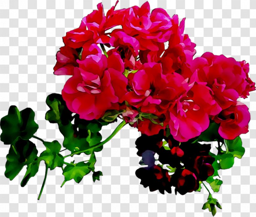 Crane's-bill Floral Design Cut Flowers Flower Bouquet - Pnk Transparent PNG