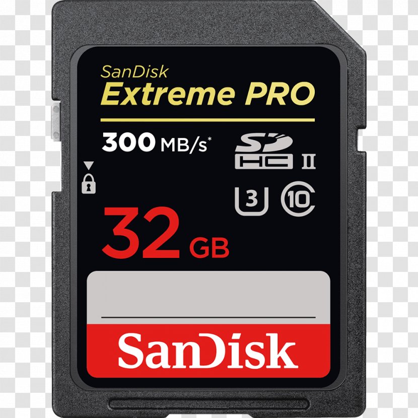 Flash Memory Cards Secure Digital SanDisk SDXC - Computer Data Storage - Gigs Transparent PNG