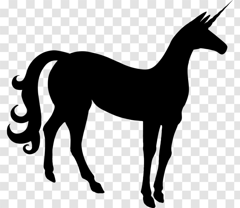 Horse Pony Mare Stallion - Colt Transparent PNG