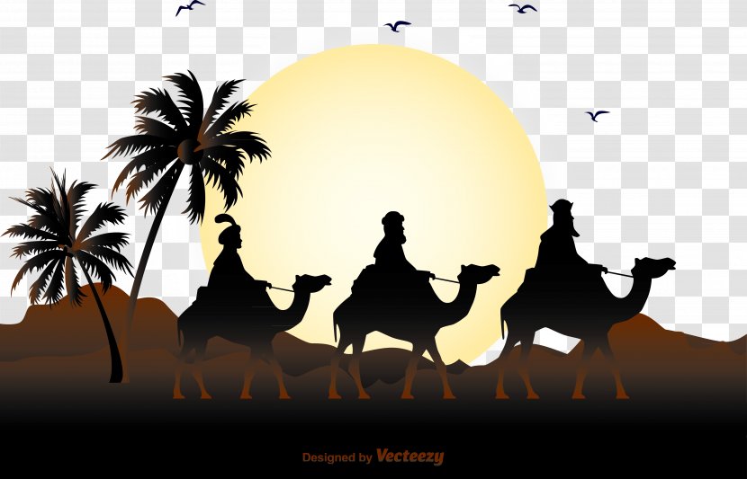 Calimero Television Film Wallpaper - Illustration - Camel Transparent PNG