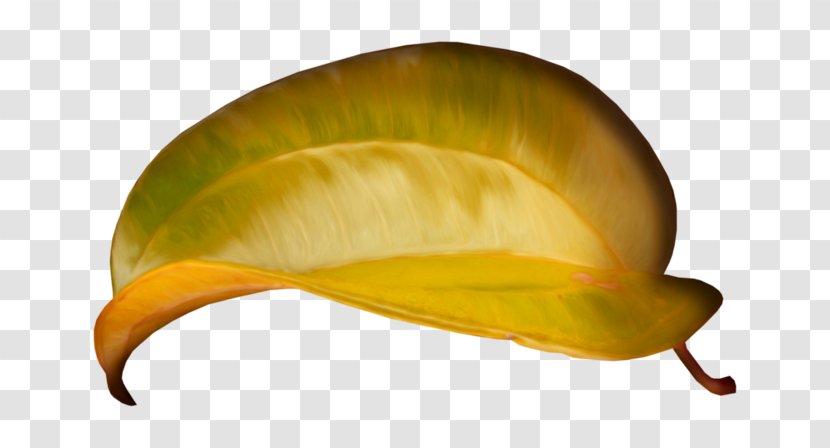 Leaf Yellow Headgear Plant Helmet - Hat Transparent PNG