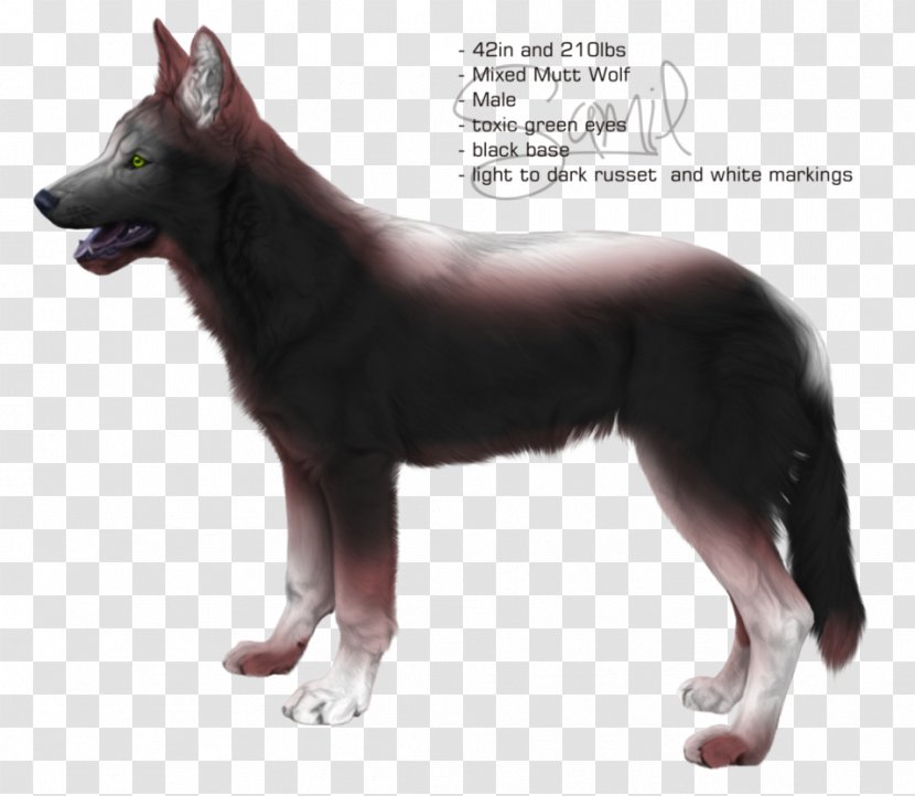 Kunming Wolfdog Saarloos Czechoslovakian German Shepherd Dog Breed - Dead Head Transparent PNG