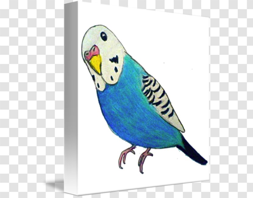 Budgerigar Parrot T-shirt Parakeet Drawing - Tote Bag Transparent PNG