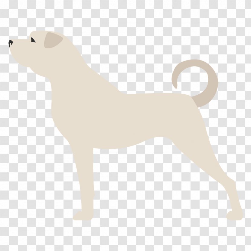 Dog Breed Puppy Non-sporting Group (dog) - Pastor Belga Transparent PNG