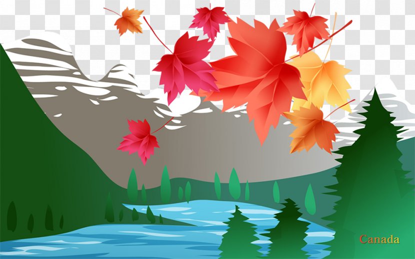 Canada Flower Wallpaper - Leaves Transparent PNG