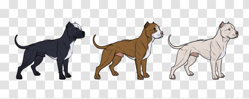 Dog Breed Cat American Bully Illustration Drawing - Tail Transparent PNG