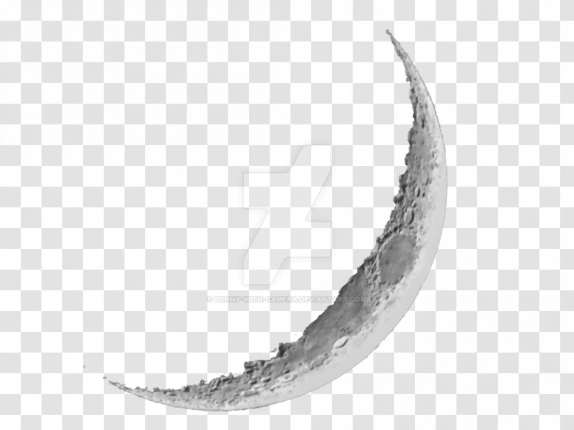 Crescent Image Moon Vector Graphics - Claw Transparent PNG