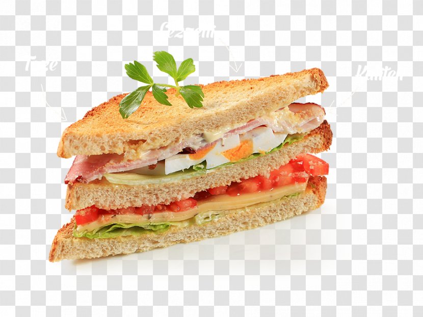 Vegetable Sandwich Submarine Tuna Fish Aahar & Chinese Parlour - Garnish Transparent PNG