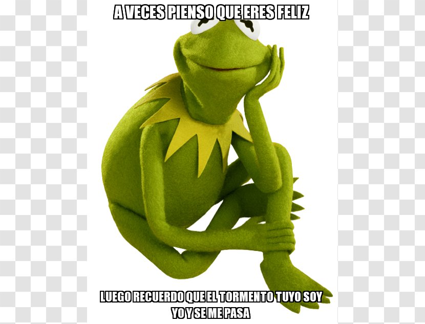 Kermit The Frog Miss Piggy Gonzo Beaker - Sesame Street - Rage Comic Transparent PNG