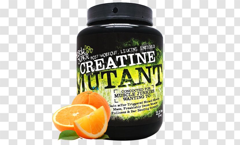 Dietary Supplement Creatine Muscle Brand Citrus × Sinensis - Euro - Freak Shake Transparent PNG