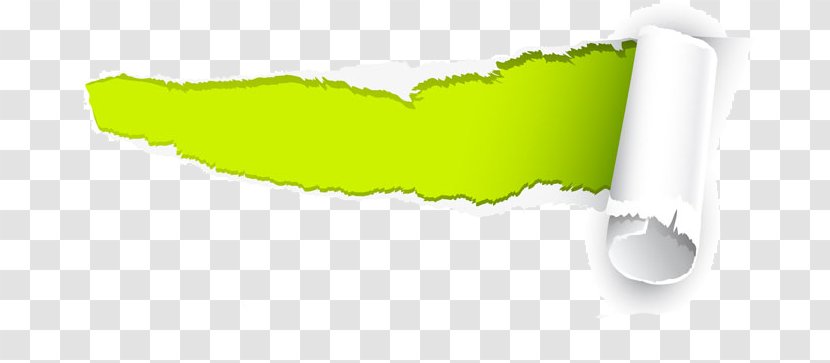 Paper Fundal Logo - Green TEAR Transparent PNG