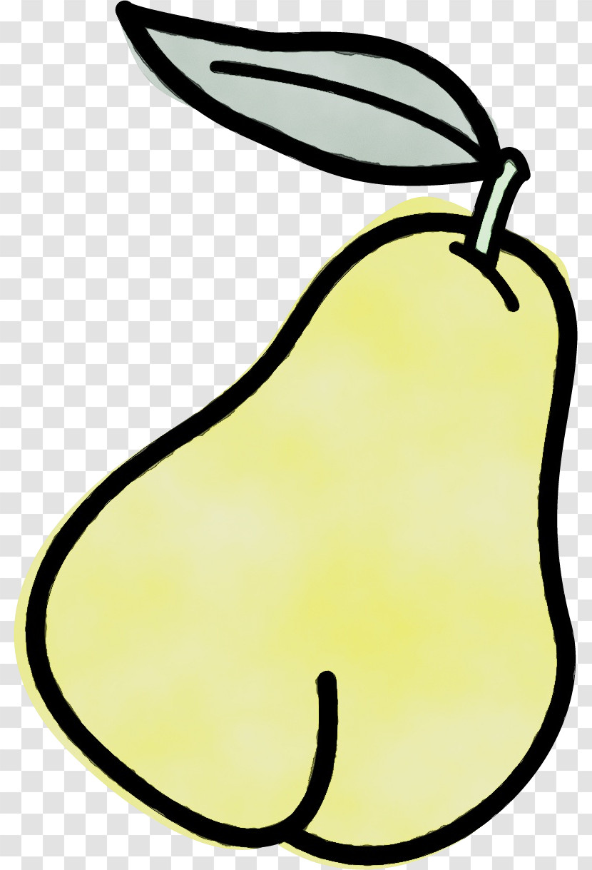 Leaf Yellow Meter Line Science Transparent PNG