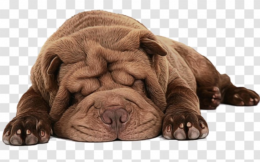 Dog And Cat - Korean Mastiff - Old English Bulldog Fawn Transparent PNG