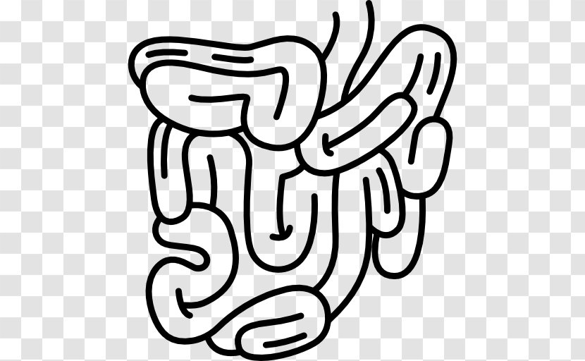 Small Intestine Gastrointestinal Tract Large Digestion - Silhouette - Digestive Vector Transparent PNG