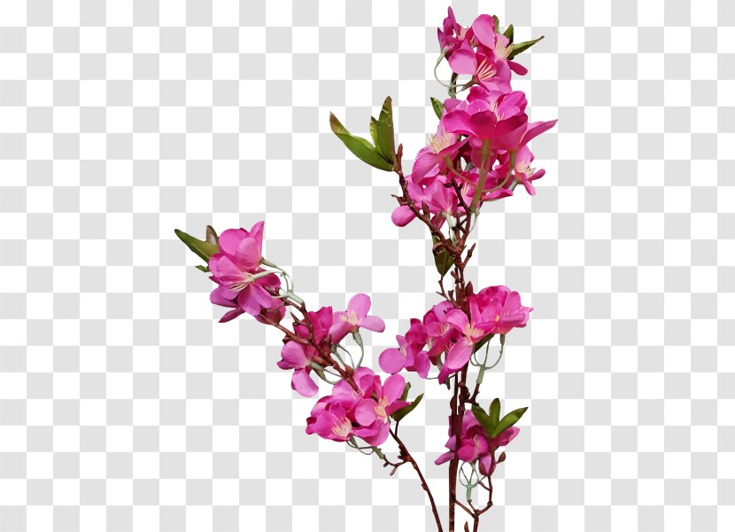Cut Flowers Floral Design Flowering Plant - Plants - Peach Blossom Transparent PNG