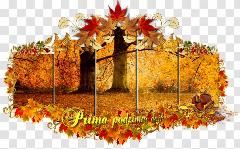 Maple Leaf Autumn Fototapet Transparent PNG