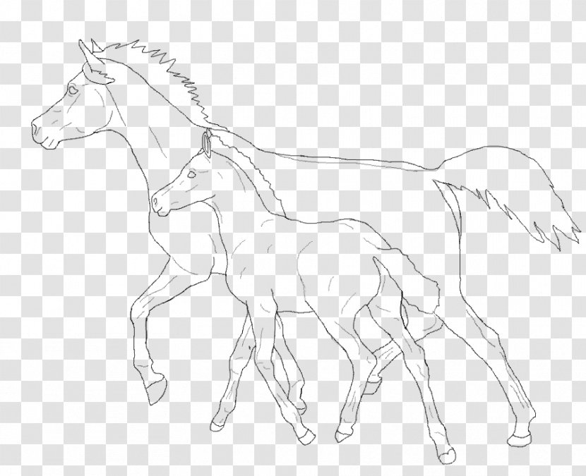 Mule Foal Colt Mare Mustang - Drawing Transparent PNG