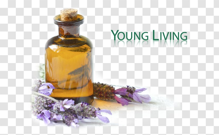 Essential Oil Health Cure Lavender - Tea Tree Transparent PNG