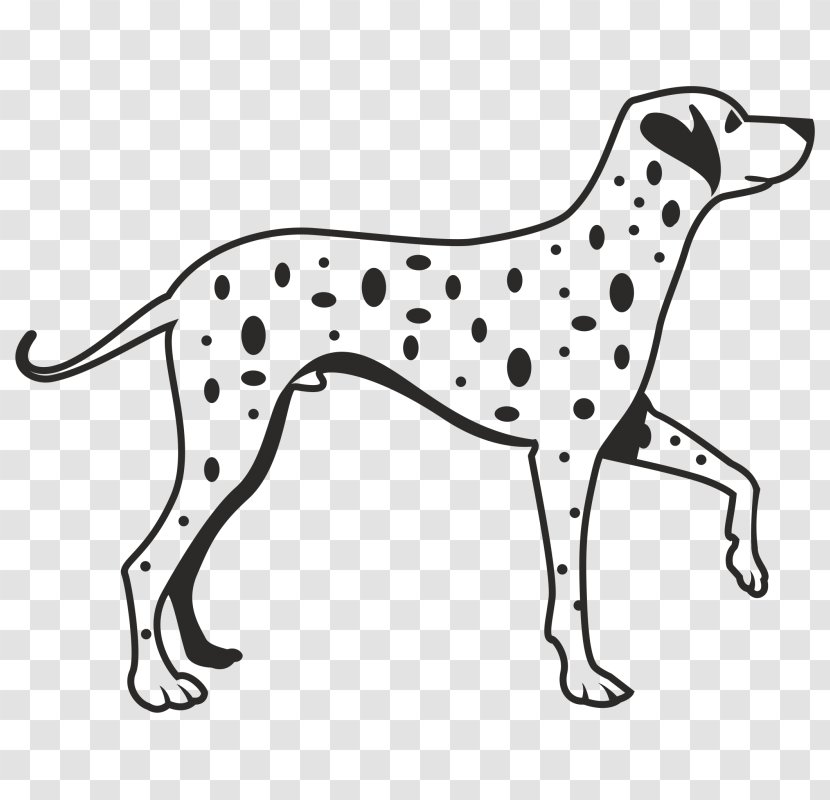 Dalmatian Dog Breed Puppy Clip Art Fire - Paw Transparent PNG