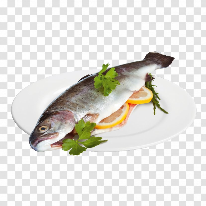 Iridescent Shark Salmon Fish Products Cooking Transparent PNG