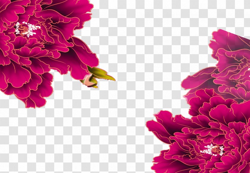 Peony Purple - Cut Flowers Transparent PNG