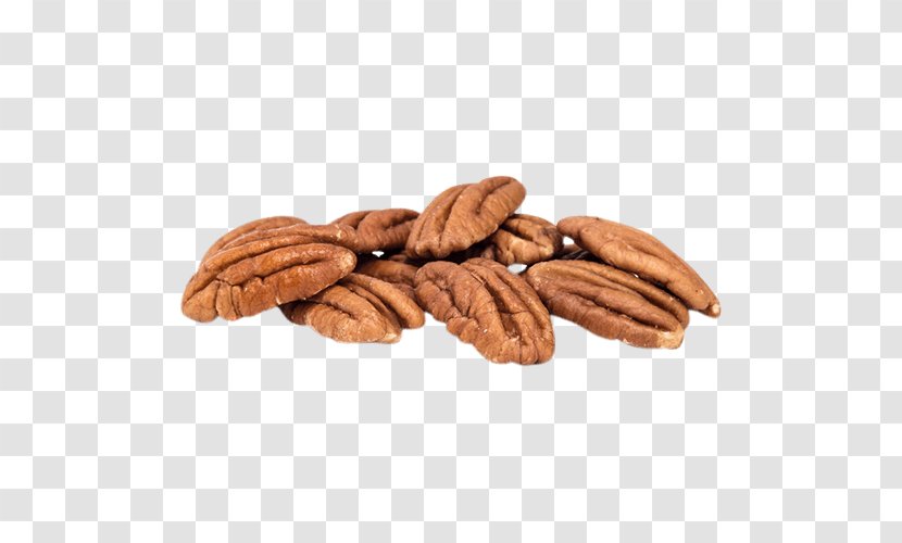 Pecan Pie Raw Foodism Log Roll Nut - Cumin Powder Transparent PNG