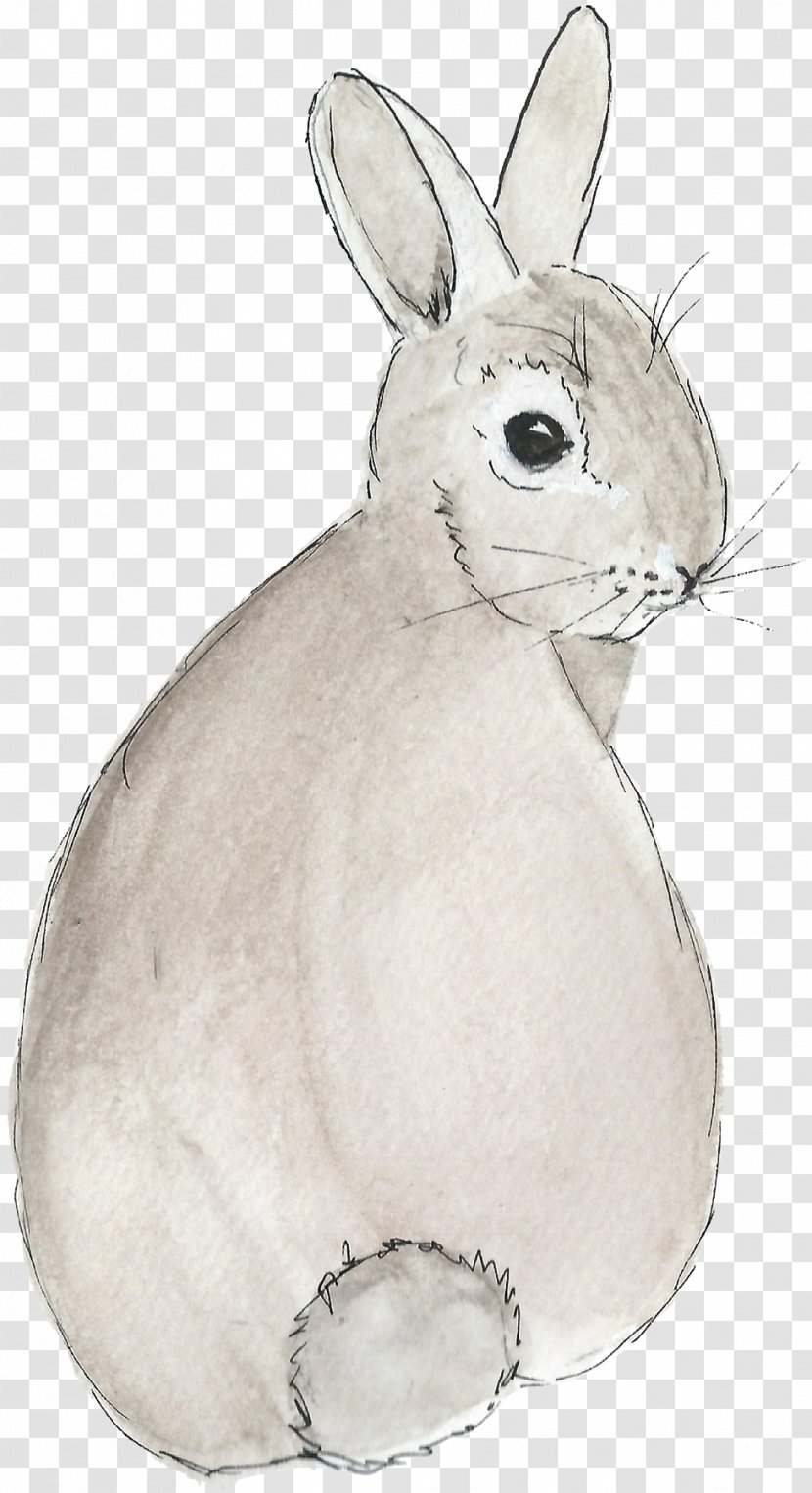 Easter Bunny Domestic Rabbit Hare Vertebrate - Pet - Watercolor Transparent PNG