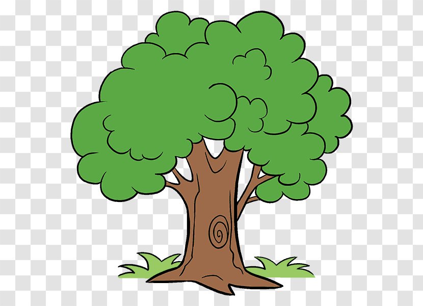 Drawing Cartoon Tree Clip Art - Leaf - Tree-lined Transparent PNG