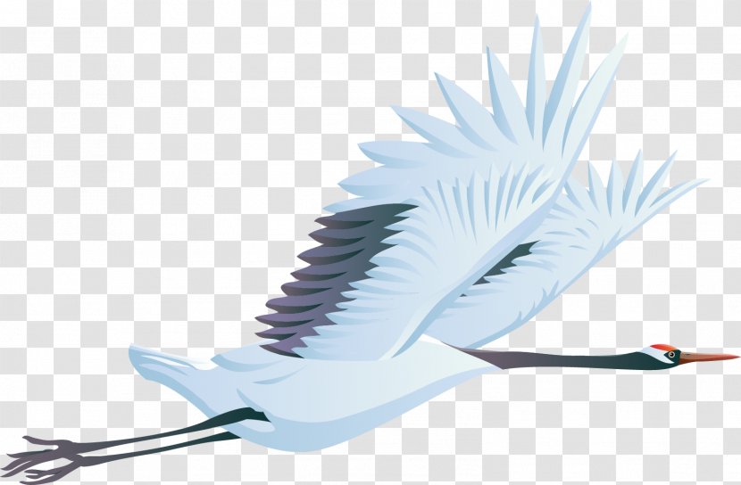 Bird Crane Clip Art - Beak - Albatross Transparent PNG