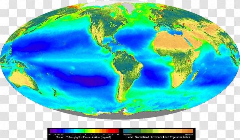 Earth Primary Production Biosphere Photosynthesis Producers - Planet - Drawing Continental Drift Transparent PNG