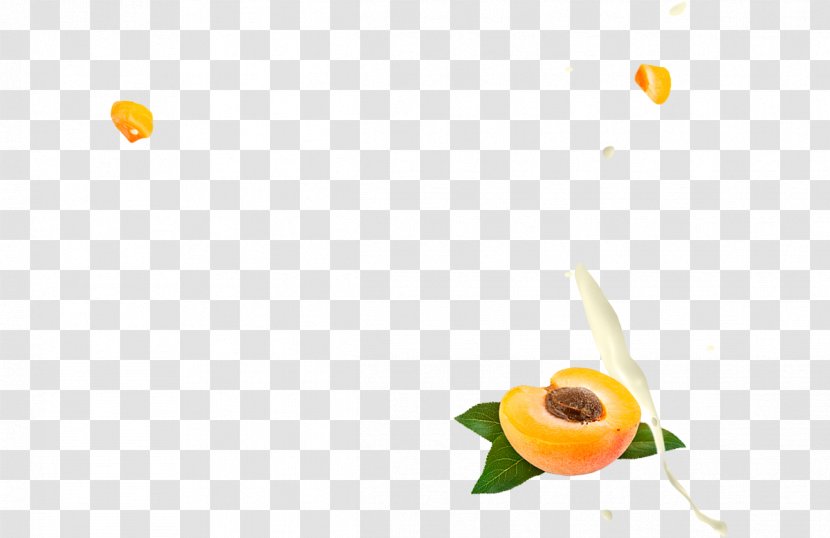 Food Yoghurt Fruit Snack - Yellow - Apricot Transparent PNG