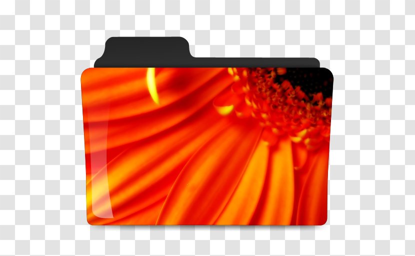 High-definition Television Flower Video 1080p Wallpaper - Wide Xga - Festive Folder Transparent PNG