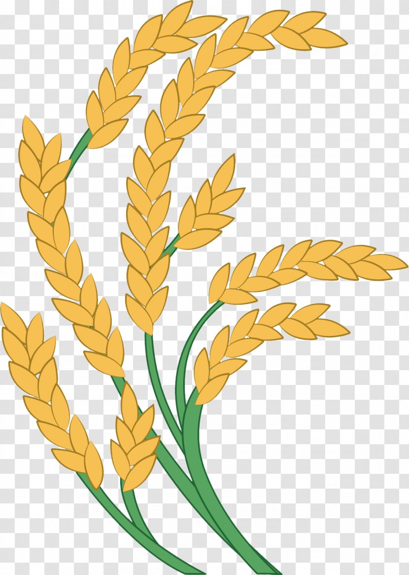 Rice Paddy Field Icon - Food - Golden Transparent PNG